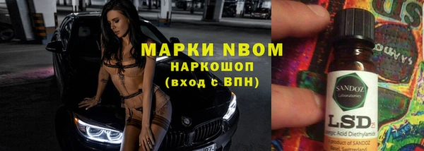 ГАЛЛЮЦИНОГЕННЫЕ ГРИБЫ Алзамай