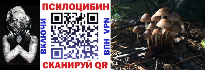 Псилоцибиновые грибы мухоморы  купить наркотик  Шацк 